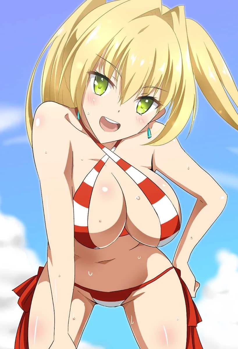 [hara3131] 夜這いネロと水着ネロまとめ