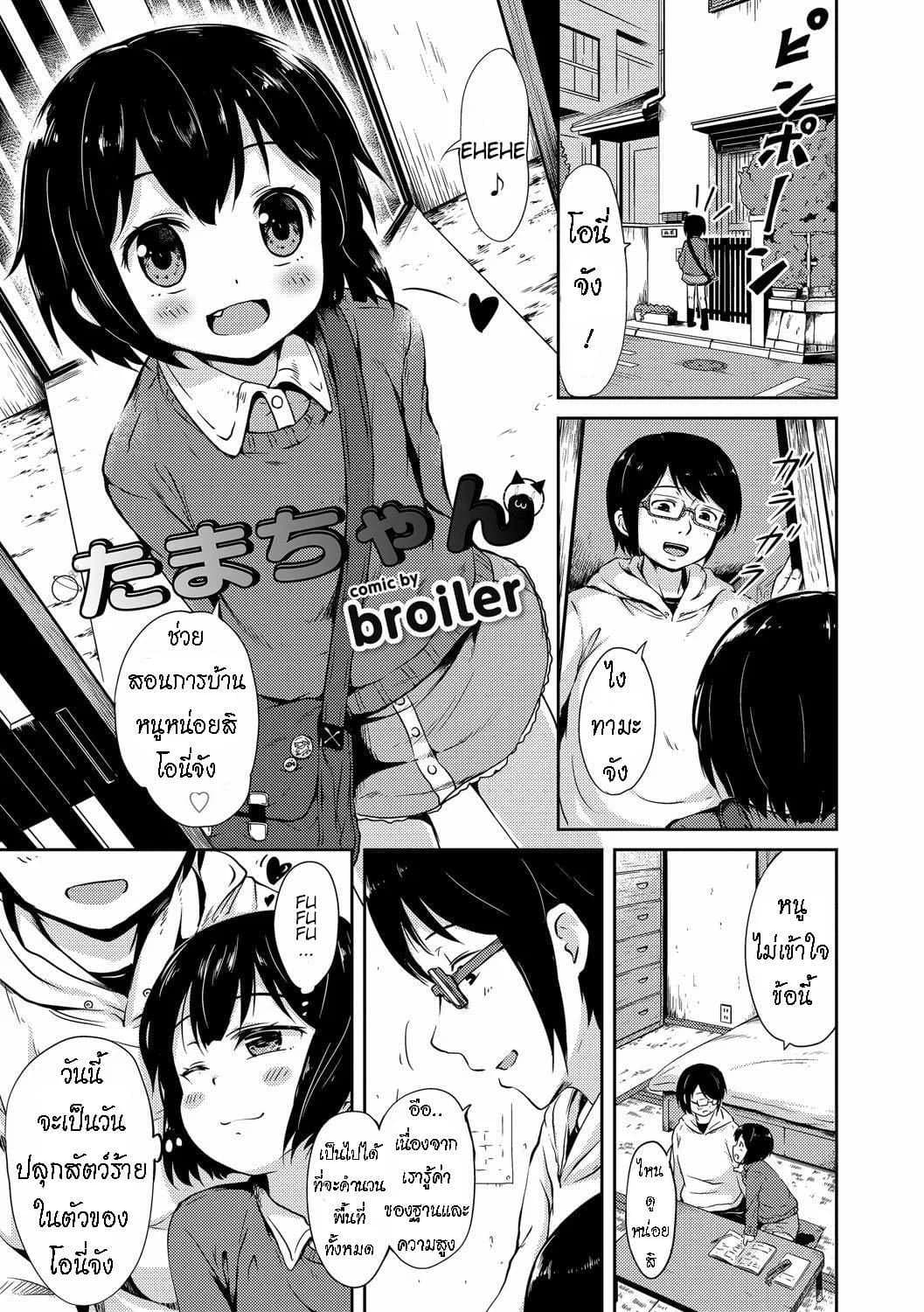 น้องแมว ทามะจัง [Broiler] Tama-chan